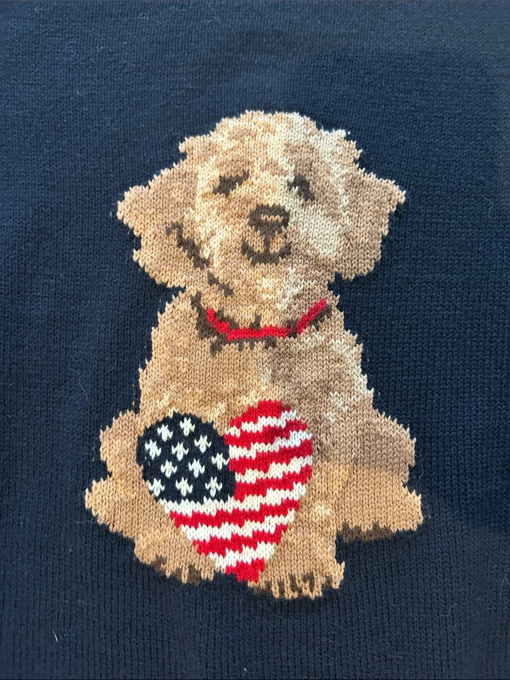 Hollister Navy Dog Sweater with American Flag Heart